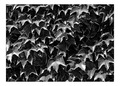 Repetition of &hellip;