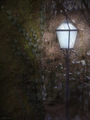 lampa obična, &hellip;