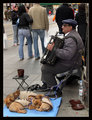 Harmonikas i p&hellip;