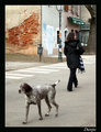 Svaki u svom p&hellip;