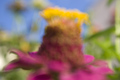 out of focus .&hellip;