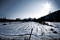 zimsko polje..&hellip;