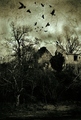 house of death&hellip;