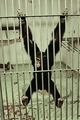 let me out you&hellip;