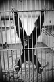 let me out you&hellip;