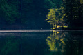 Mystical Light&hellip;