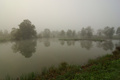 Meglica