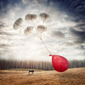 Inverted Gravi&hellip;