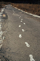 moje stope,kin&hellip;