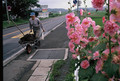 Fukushima, 198&hellip;