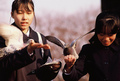 japanke i golu&hellip;