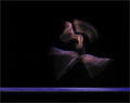 Balerina radi &hellip;