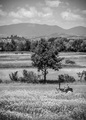Pogled s moje &hellip;