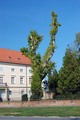 zanimljivo drv&hellip;