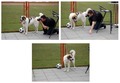 Rea - fotomode&hellip;