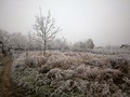 DugoSelske ran&hellip;