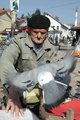 Osman sa golub&hellip;