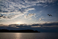  galeb i more &hellip;