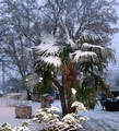Pogled s mog p&hellip;