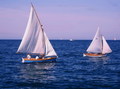 Regata s oglav&hellip;