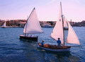 Regata s oglav&hellip;
