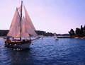 Regata s oglav&hellip;