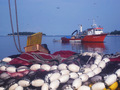 Jutro u rovinj&hellip;