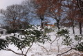 Pogled kroz pr&hellip;