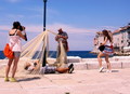Photodaysi, su&hellip;