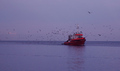 Povratak ribar&hellip;