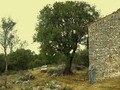 istražitelj pr&hellip;