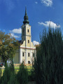 Crlva Svetog V&hellip;