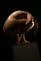 Fetal