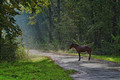 Lost in sunlig&hellip;
