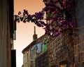 ...korčulanska&hellip;
