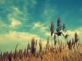 ...summer time&hellip;