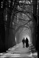 walking throug&hellip;