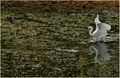 Na vodama Kopa&hellip;