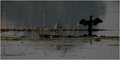 Kormoran i siv&hellip;