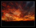 Dante's sunset&hellip;