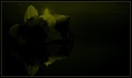 Moment of Weak&hellip;