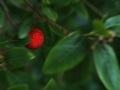 Red inside the&hellip;