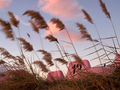 U potrazi za s&hellip;