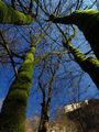 Sjever-Sjevero&hellip;