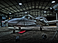 Piper 4