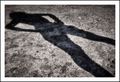 Shadow in the &hellip;