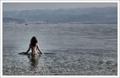 Swallowed by t&hellip;