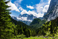 Zeleno, sivo, &hellip;