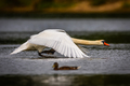 Walk on water &hellip;