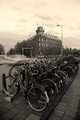 Amsterdamski b&hellip;